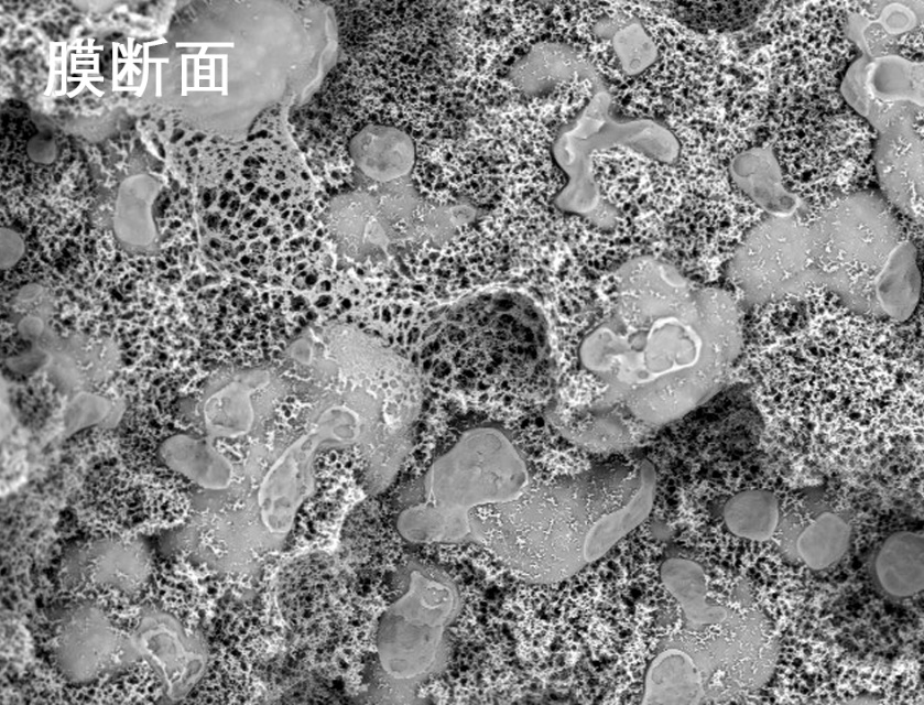 抖圈人生就是搏燒結(jié)管式膜電鏡照片