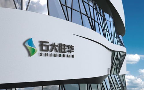 石大勝華戰(zhàn)略布局深化 5億資本落子眉山新材料公司