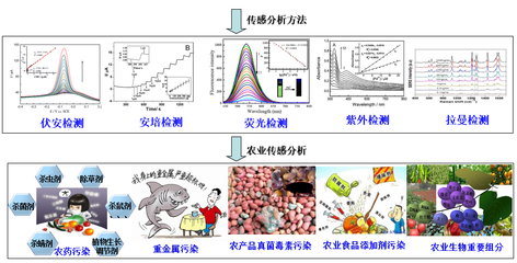 引領(lǐng)未來(lái) 創(chuàng)新團(tuán)隊(duì)如何驅(qū)動(dòng)新材料技術(shù)的推廣與服務(wù)升級(jí)